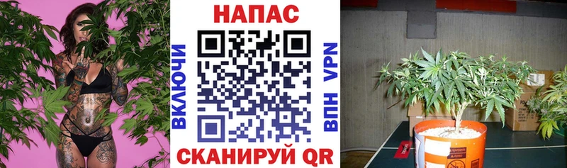 Марихуана гибрид  Купить закладки  Николаевск-на-Амуре 
